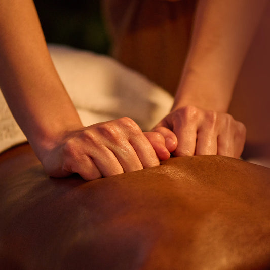 PURE BALANCE MAX Therapeutische Massage